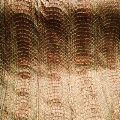 Elaphe Radiata Snake Leather Panel