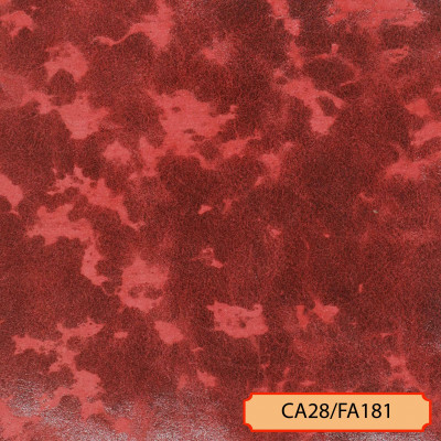 CA28/FA181