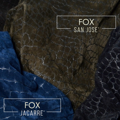 FOX SAN JOSE' - FOX JACARRE'